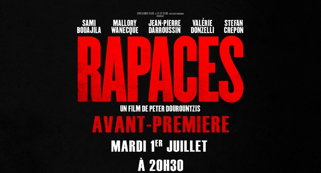 actualité Rapaces